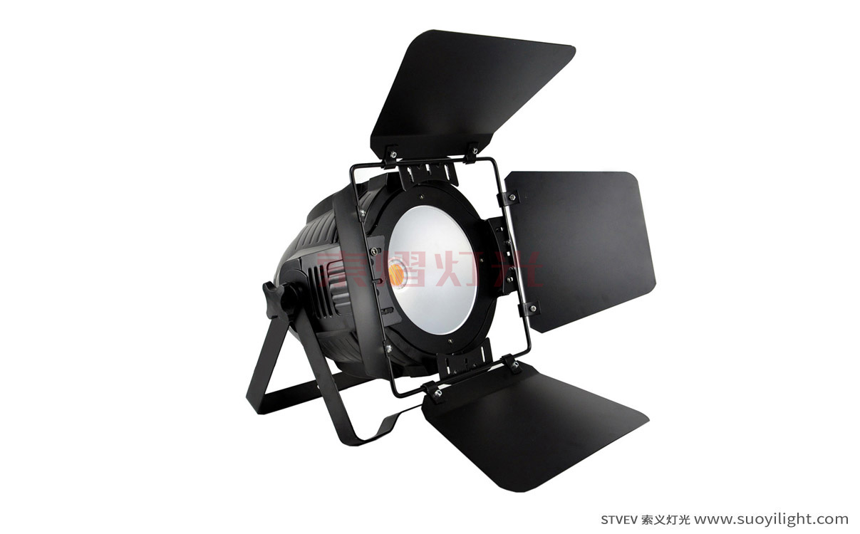 Aachen200W COB LED Par Light