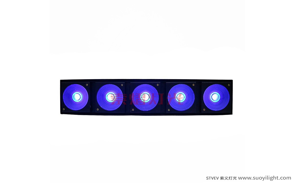 Aachen LED 5 Head Matrix Light