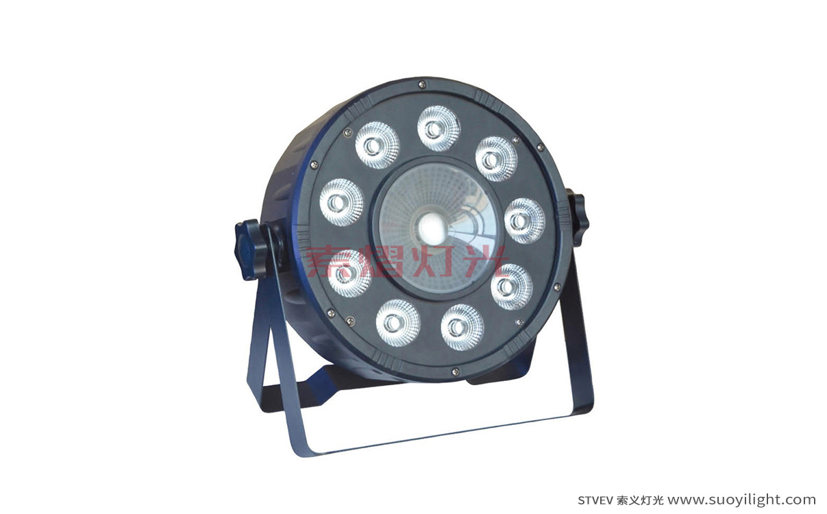 Aachen9+1 LED Plastic Par Light