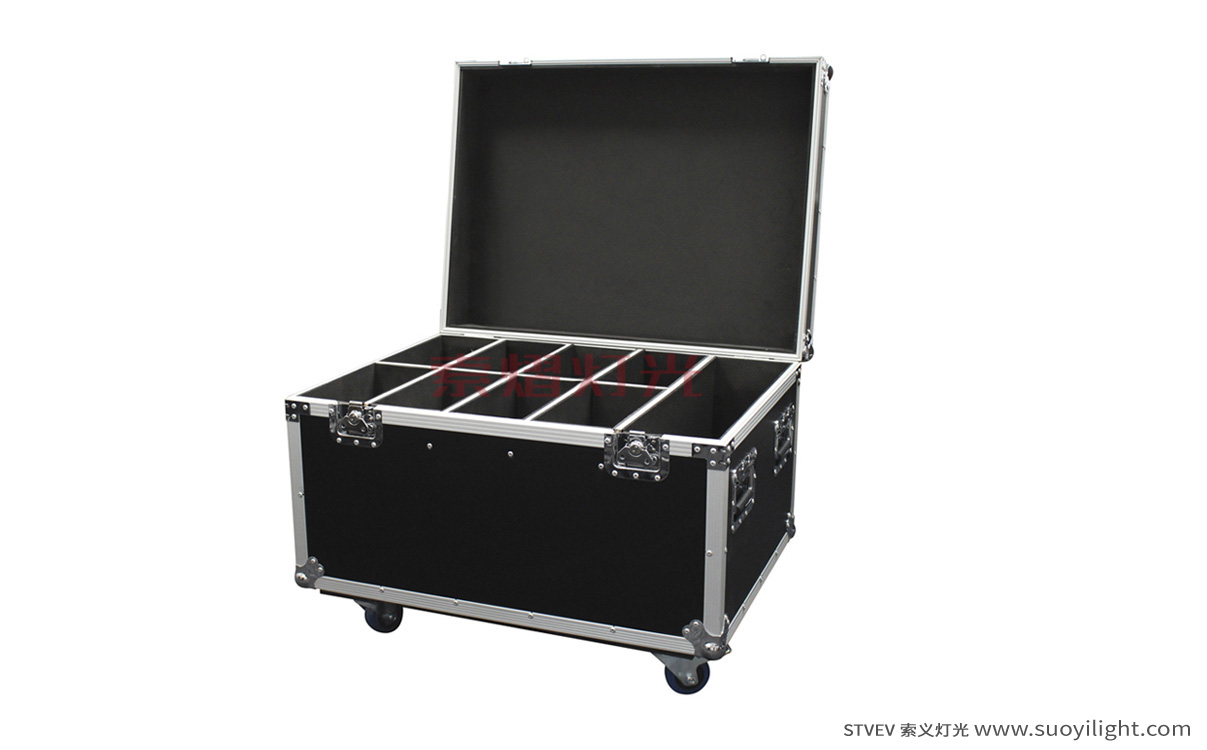 Aachen8in1 Par Light Flight Case