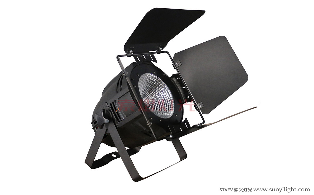 Aachen100W LED COB Par Light