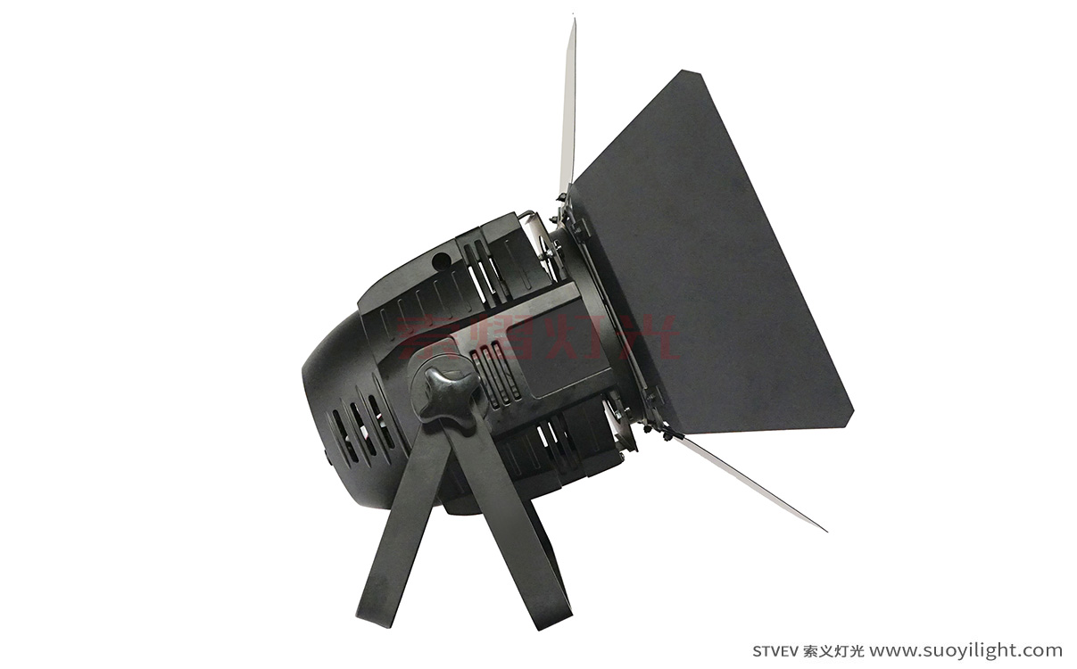 Aachen100W LED COB Par Light