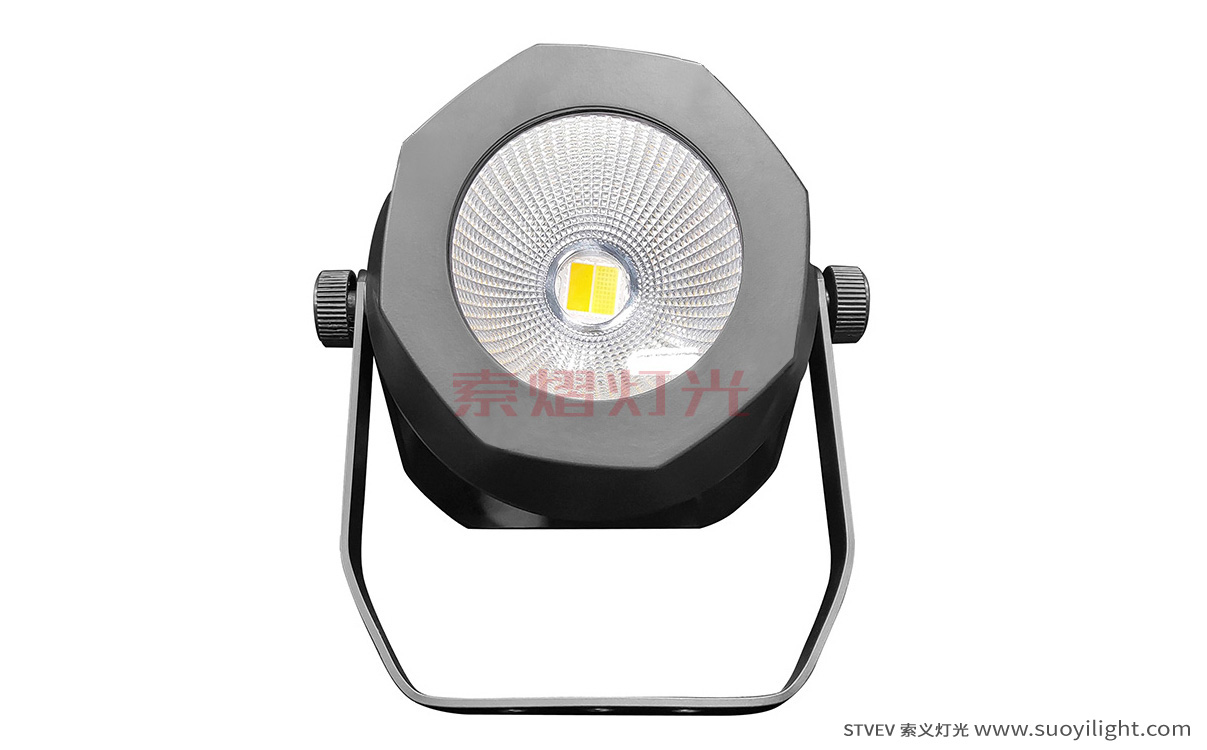 Aachen200W Waterproof COB Par Light